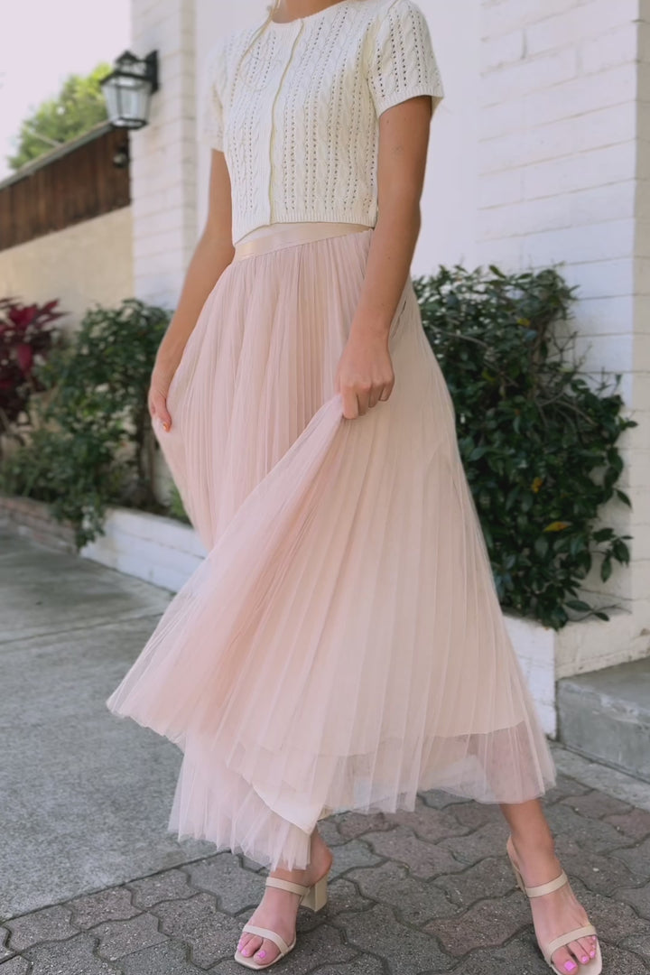 Kiernan Pleated Tulle Skirt